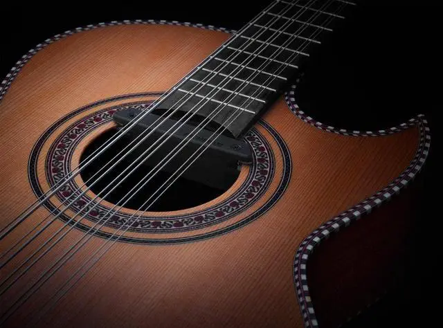Alt view image 4 of 5 - PRO-REP-BQ1 Rare Earth Bajo Quinto Soundhole Pickup