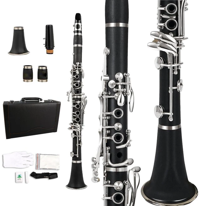 Main image of Professional Ebonite Clarinete C Key Clarinet for Beginner Students with 2 Barrels Hard Case Cleaning Kit Mouthpice Cork Grease Gloves