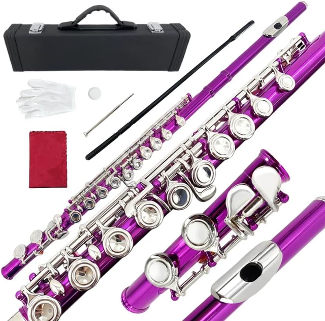 Main image of 16 Key Closed Hole C Flute Instrument - Student Flute for Beginners, Easy to Play with Durable Design, Carrying Case, Cleaning Kit, Gloves, Perfect for Learning(Pink)