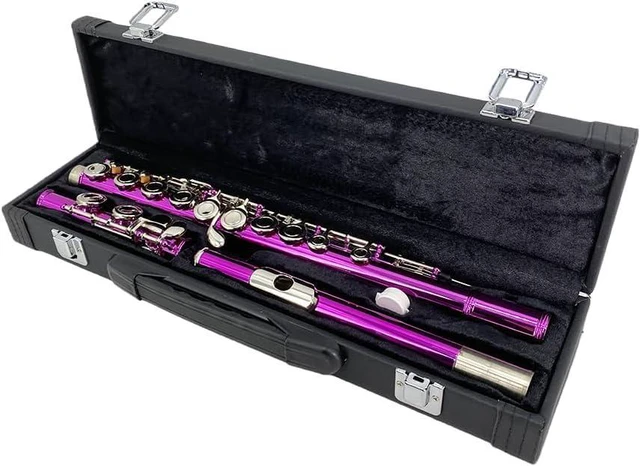 Alt view image 2 of 5 - 16 Key Closed Hole C Flute Instrument - Student Flute for Beginners, Easy to Play with Durable Design, Carrying Case, Cleaning Kit, Gloves, Perfect for Learning(Pink)