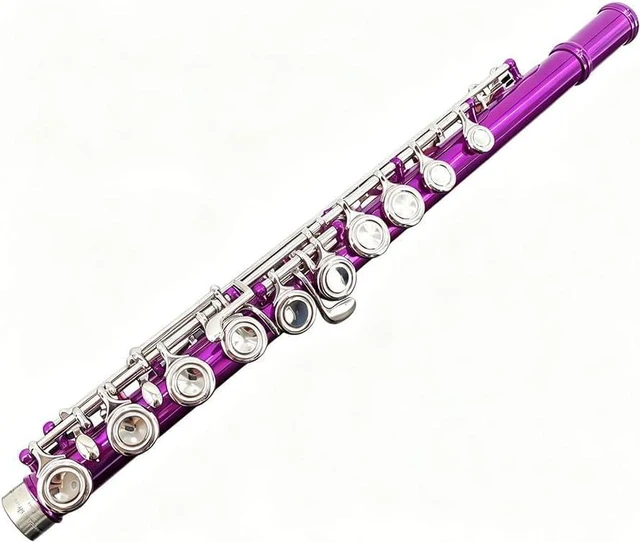 Alt view image 3 of 5 - 16 Key Closed Hole C Flute Instrument - Student Flute for Beginners, Easy to Play with Durable Design, Carrying Case, Cleaning Kit, Gloves, Perfect for Learning(Pink)