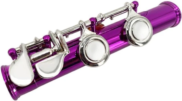 Alt view image 5 of 5 - 16 Key Closed Hole C Flute Instrument - Student Flute for Beginners, Easy to Play with Durable Design, Carrying Case, Cleaning Kit, Gloves, Perfect for Learning(Pink)