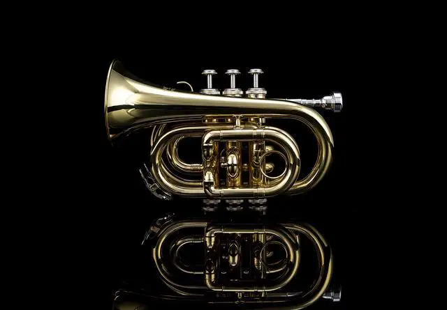 Alt view image 3 of 6 - Bb Pocket Trumpet with Case, Cleaning Cloth, Gloves, Gold Lacquer (LAQUER)