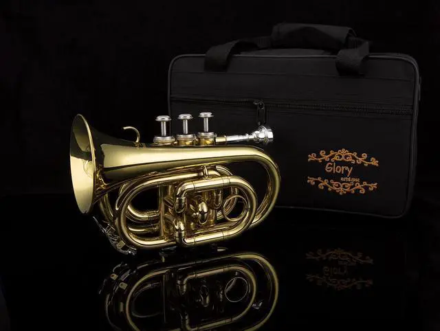 Alt view image 5 of 6 - Bb Pocket Trumpet with Case, Cleaning Cloth, Gloves, Gold Lacquer (LAQUER)
