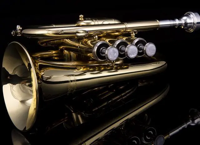 Alt view image 6 of 6 - Bb Pocket Trumpet with Case, Cleaning Cloth, Gloves, Gold Lacquer (LAQUER)