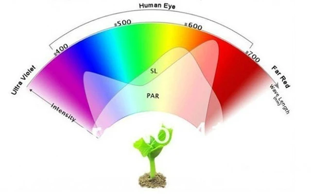 Alt view image 9 of 12 - SOEWIOU 2835 LED Grow Light, 60/126/200/260 LEDs, High Brightness, Wide Voltage, for Vegetable Seedling, Succulent & Potted Plant Growing