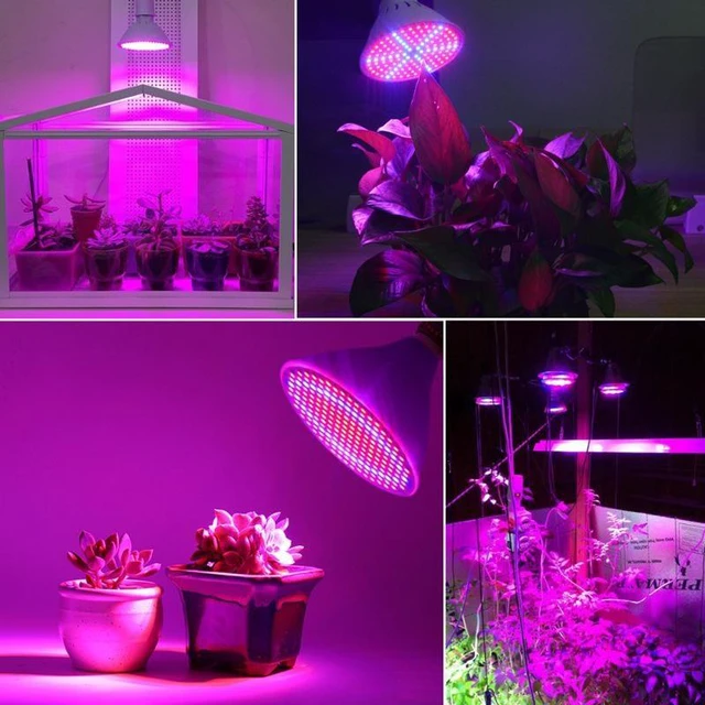 Alt view image 10 of 12 - SOEWIOU 2835 LED Grow Light, 60/126/200/260 LEDs, High Brightness, Wide Voltage, for Vegetable Seedling, Succulent & Potted Plant Growing