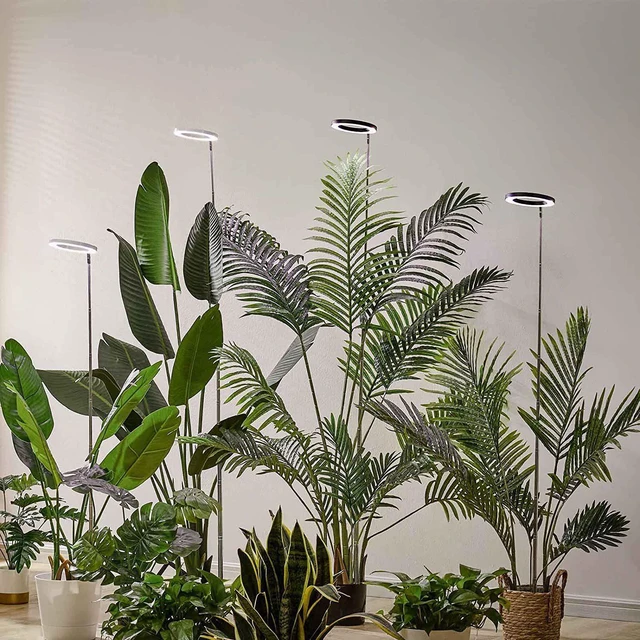 Alt view image 13 of 14 - SOEWIOU Ring Retractable Plant Grow Light, USB Powered, 7.87in 160mm Full Spectrum, Timer Function, for Large Potted Plants