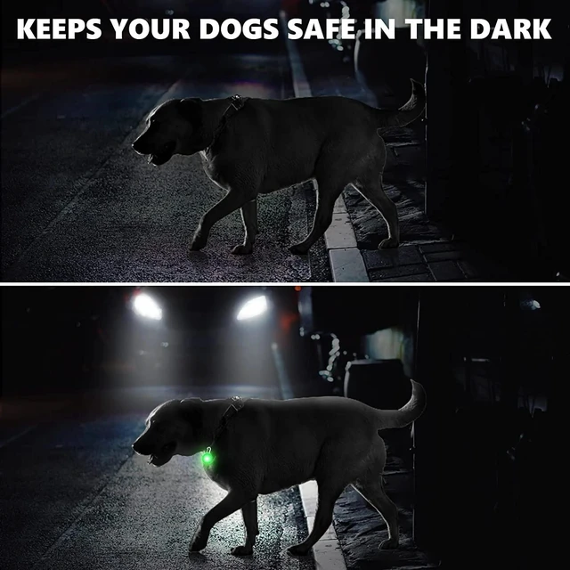 Alt view image 10 of 12 - SOEWIOU LED Dog Collar Light, 4pcs Dog Lights for Night Walking Camping Clip-on LED Dog Tag Light for Dog Collar