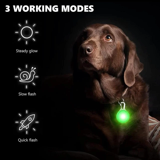 Alt view image 9 of 12 - SOEWIOU LED Dog Collar Light, 4pcs Dog Lights for Night Walking Camping Clip-on LED Dog Tag Light for Dog Collar