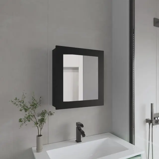 Main image of Medicine Cabinet 20.5" H, with 2 Shelves, 1 Door, and 1 Mirror, Black