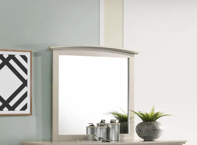 Main image of Elegant Silver Champagne Wall Mirror