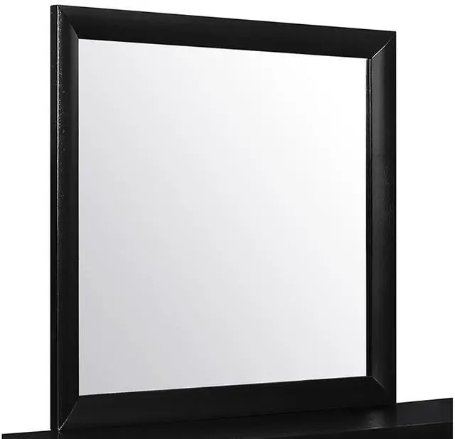 Main image of Lucille Black Mirror