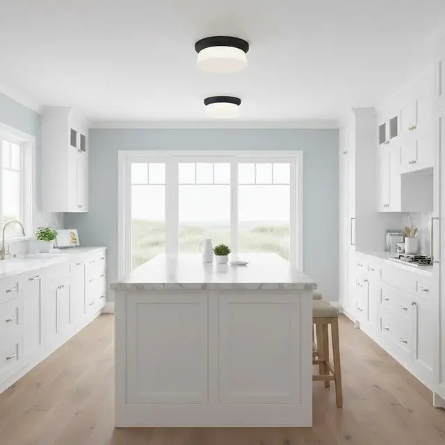 Main image of 11 inch Black integrated Led Flush Mount