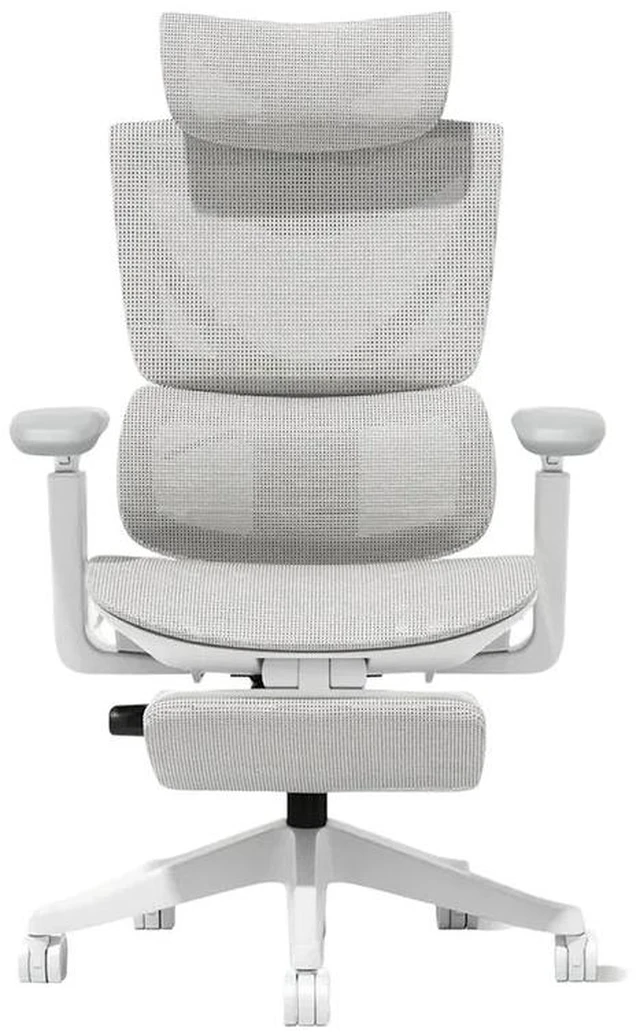 Main image of Ergonomic Mesh Chair with Button Precision Control, Adjustable Recline and Armrest Built in Footrest Class Gas Lift 300