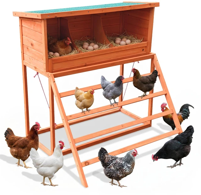 Main image of Nesting Boxes for Chickens with Perch and Swing Wooden Chicken Nesting Box for Poultry 3 Compartments Laying Eggs Nest
