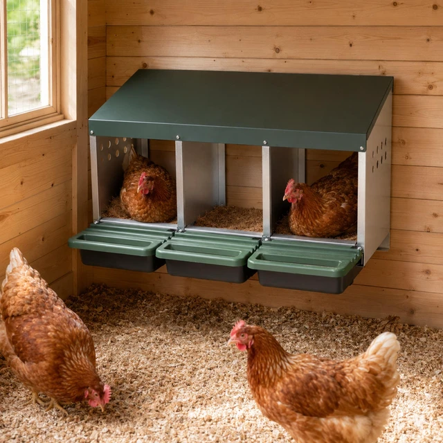 Main image of 3 Compartment Chicken Nesting Box, Stand with Soft Padded Mats 0.8 mm Top Cover and 0.6 mm Galvanized Steel Poultry