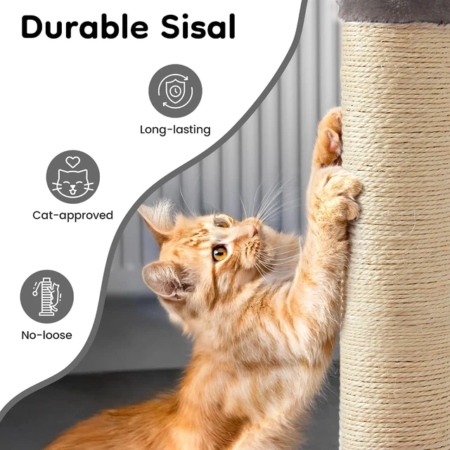 Alt view image 5 of 7 - 22 Inch Cat Scratching Post, Sisal Cat Scratcher with Interactive Hanging Toy Monster Scratch Pole for Indoor Cats