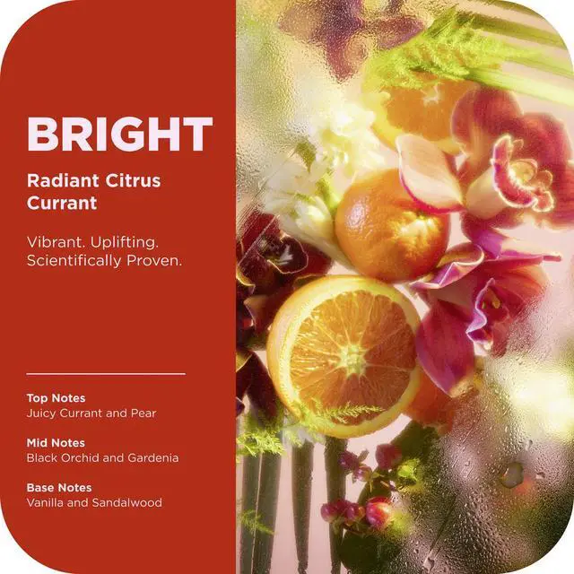 Alt view image 2 of 6 - Bright Body Wash with Ginseng, Caffeine & Vitamin C Nourishing Cleanser for Skin Barrier Repair, Deep Hydration, Juicy Citrus Currant Scent, 17 oz