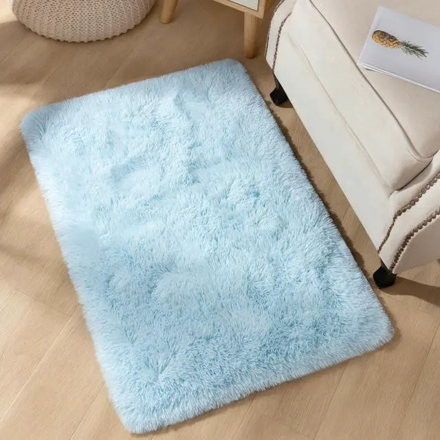 Main image of Area Rugs for Bedroom, 2x3 Door Mat Washable Small Light Blue Bedside Rug,Fluffy Shaggy Entryway Rugs for Living Room, Shag Indoor Floor Carpet for Kids Boy and Girls, Home Decor Aesthetic