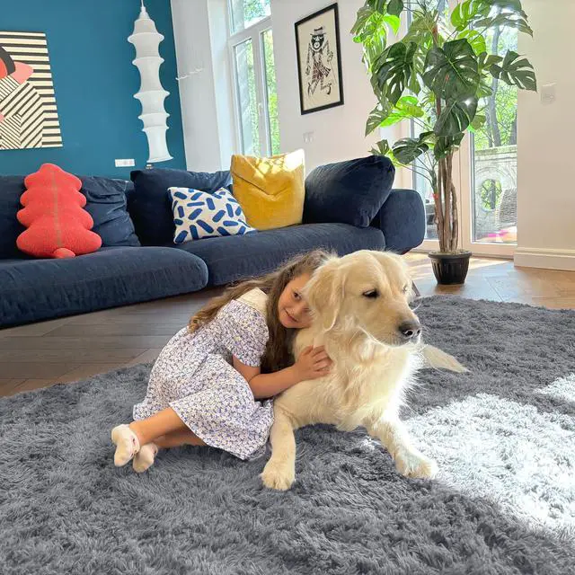 Alt view image 5 of 7 - Machine Washable Small Bedside Rug, Soft Fluffy Shaggy Entryway Throw Rugs for Bedroom, Living Room, Indoor Floor Carpet for Kids Girls Boy, Nursery Rooms, Home Decor Aesthetic