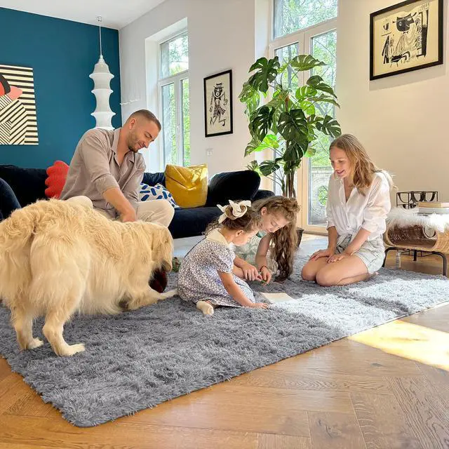 Alt view image 7 of 7 - Machine Washable Small Bedside Rug, Soft Fluffy Shaggy Entryway Throw Rugs for Bedroom, Living Room, Indoor Floor Carpet for Kids Girls Boy, Nursery Rooms, Home Decor Aesthetic