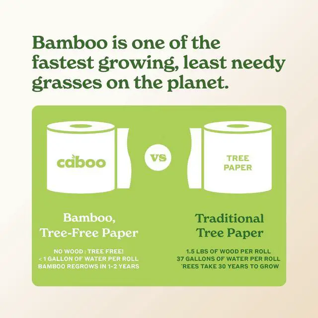 Alt view image 6 of 7 - Tree Free Paper Towels, 2 Rolls, Tree Free, Plastic Free, Earth Friendly, Sustainable Kitchen Paper Towels with Strong 2 Ply Sheets