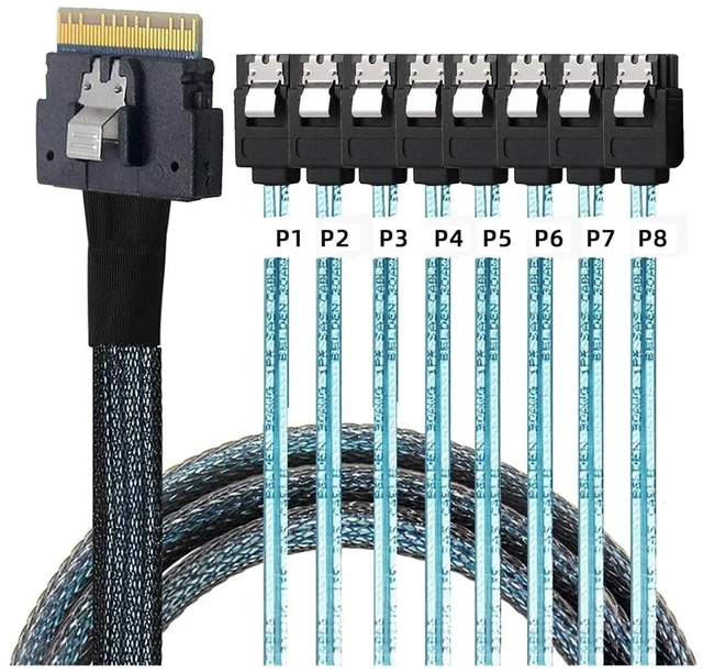 Main image of PCI-E Slimline S/AS 4.0 SFF-8654 8i to 8X SATA Cable 4X M1ni S/AS 29Pin SFF-8482 Computer Server Array Disk Cord Hub 6Gbps Rate(1m,8X to 8-SATA)