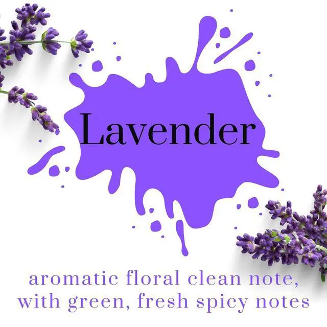 Alt view image 2 of 7 - Lavender Reed Diffuser Set with Sticks 3.4 Fl Oz | Lavender Home Fragrance Diffuser with Reed Sticks for Bathroom, Bedroom, Office Decor, and Gift-Ready Scent