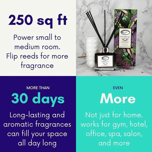 Alt view image 4 of 7 - Lavender Reed Diffuser Set with Sticks 3.4 Fl Oz | Lavender Home Fragrance Diffuser with Reed Sticks for Bathroom, Bedroom, Office Decor, and Gift-Ready Scent