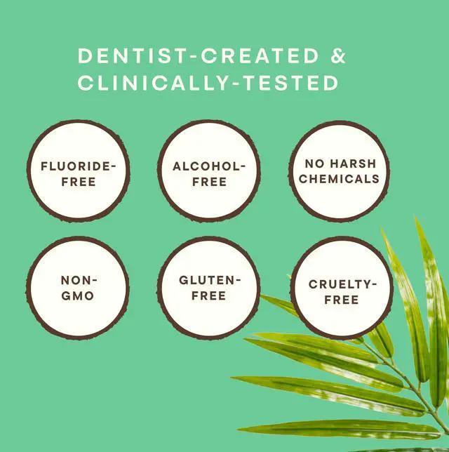 Alt view image 5 of 7 - Coconut Oil Toothpaste, Fluoride Free + Xylitol, 4oz, 2 Pack | Coconut Powered by Organic Coconut Oil & Xylitol, Gentle Deep Clean, Oral Microbiome Support, Sensitive Teeth, Coconut Mint