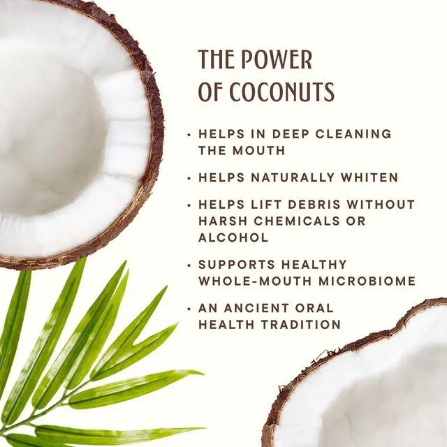 Alt view image 7 of 7 - Coconut Oil Toothpaste, Fluoride Free + Xylitol, 4oz, 2 Pack | Coconut Powered by Organic Coconut Oil & Xylitol, Gentle Deep Clean, Oral Microbiome Support, Sensitive Teeth, Coconut Mint