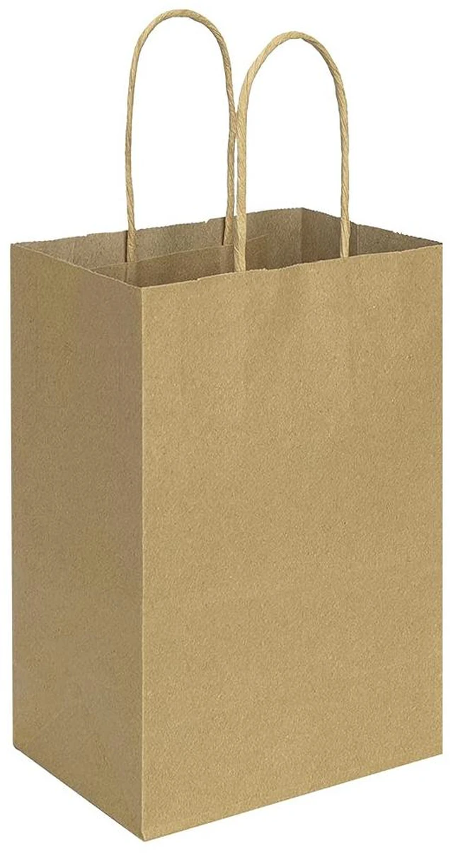 Main image of 100 Pack 5.25x3.25x8 Inch Brown Small Paper Bags with Handles Bulk, Gift Paper Bags, Kraft Birthday Party Favors Grocery Retail Shopping Takeouts Business Craft sacks (Plain Natural 100pcs)