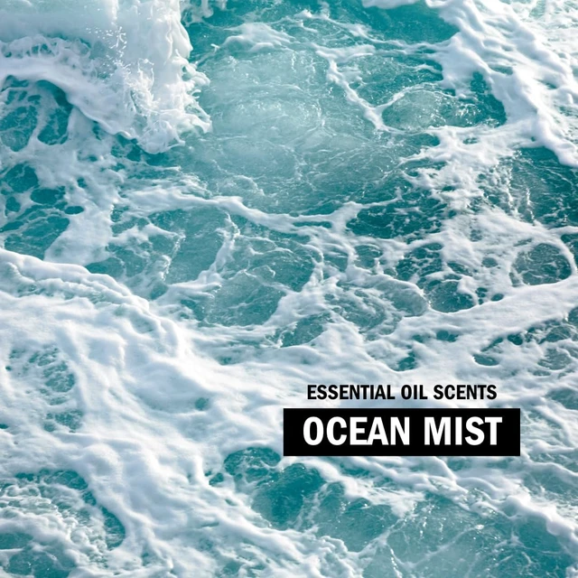 Alt view image 6 of 7 - Super Powder Detergent | Extra Strength Laundry Soap, Stain Fighting | Sensitive Skin | Simple, Effective Ingredients | 60 Loads - Ocean Mist