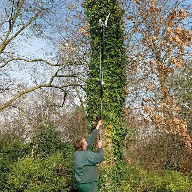 Alt view image 4 of 4 - Spear & Jackson 4930FZ Razorsharp Telescopic Tree Pruner, Extendable Pole Handle for Removing High Branches, Sharp Saw Blade for Cutting Thick Limbs and Powerful Pull Cord Lopper for Light Trimming