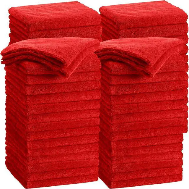 Main image of 30 Pcs 16 x 16 Inch Edgeless Microfiber Plush Towels for Cars Detailing Drying Wash Polishing Absorbent Cleaning Cloths, 500 GSM (Red)