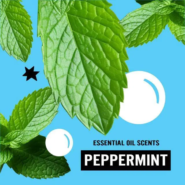 Alt view image 6 of 7 - Molly's Suds Laundry Detergent Pods | Clean Detergent for Sensitive Skin | Ultra Concentrated and Stain Fighting | Peppermint - 60 Count