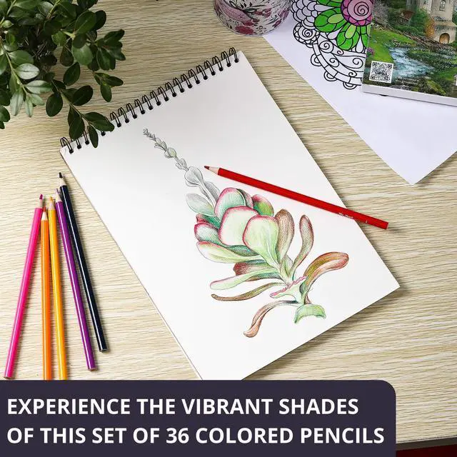 Alt view image 6 of 7 - Colored Pencils for Adult Coloring Books, 36 Pack