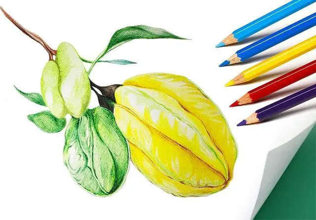 Alt view image 4 of 4 - Colored Pencils, 144Pcs, 12 Colors