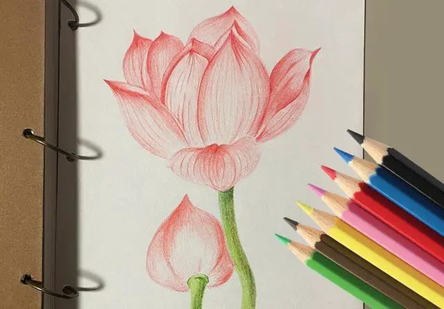 Alt view image 3 of 4 - Colored Pencils, 144Pcs, 12 Colors