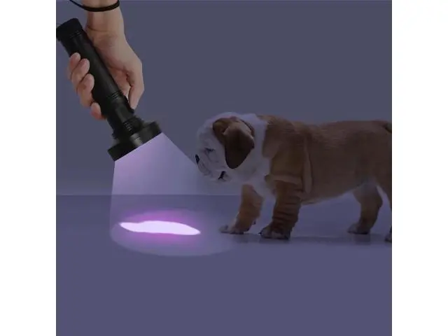 Alt view image 10 of 10 - High quality UV Light 51LED 21LED 100LED UV Light 395-400nm LED UV Flashlight torch light lamp safety UV detection