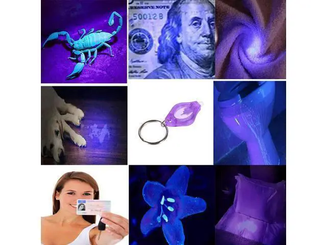 Alt view image 7 of 10 - 395nm Purple UV LED Mini Keychain light LED Flashlight Torch Black light Lamp Id Currency Passports Cat Dog pet urine Detector