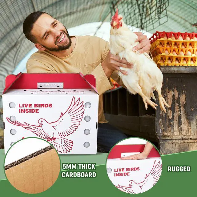 Alt view image 4 of 6 - 15 Pack Single Live Chicken Shipping Boxes 17.5 x 8.5 x 11.5" Live Bird Shipping Boxes Cardboard Pet Carrier with Handle for Poultry, Pigeons, & Canaries(Red)