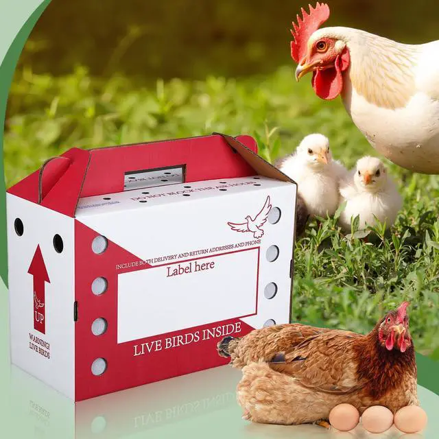Alt view image 5 of 6 - 15 Pack Single Live Chicken Shipping Boxes 17.5 x 8.5 x 11.5" Live Bird Shipping Boxes Cardboard Pet Carrier with Handle for Poultry, Pigeons, & Canaries(Red)