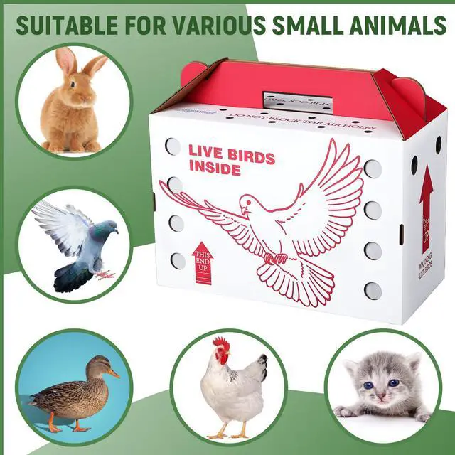 Alt view image 6 of 6 - 15 Pack Single Live Chicken Shipping Boxes 17.5 x 8.5 x 11.5" Live Bird Shipping Boxes Cardboard Pet Carrier with Handle for Poultry, Pigeons, & Canaries(Red)