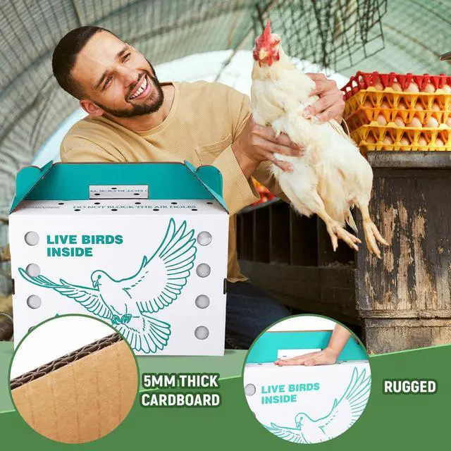 Alt view image 4 of 6 - 15 Pack Single Live Chicken Shipping Boxes 17.5 x 8.5 x 11.5" Live Bird Shipping Boxes Cardboard Pet Carrier with Handle for Poultry, Pigeons, & Canaries (Green)