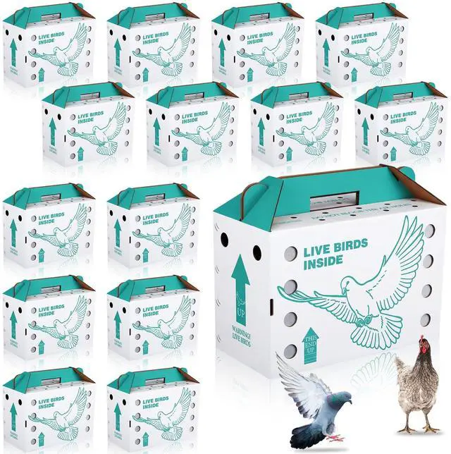 Main image of 15 Pack Single Live Chicken Shipping Boxes 17.5 x 8.5 x 11.5" Live Bird Shipping Boxes Cardboard Pet Carrier with Handle for Poultry, Pigeons, & Canaries (Green)
