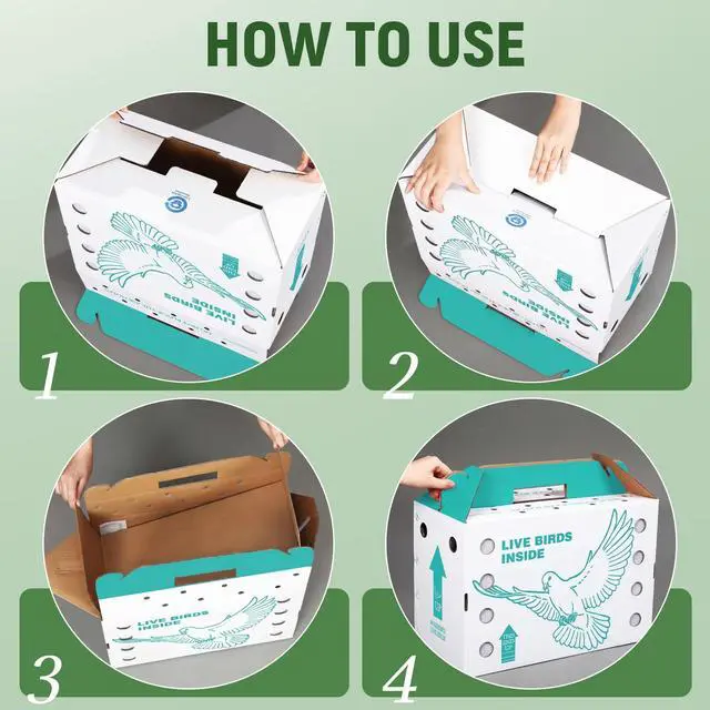 Alt view image 3 of 6 - 15 Pack Single Live Chicken Shipping Boxes 17.5 x 8.5 x 11.5" Live Bird Shipping Boxes Cardboard Pet Carrier with Handle for Poultry, Pigeons, & Canaries (Green)