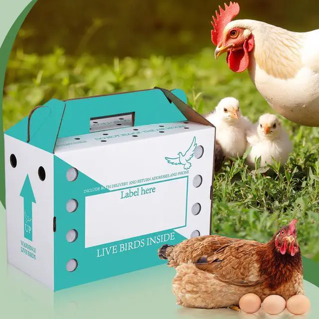 Alt view image 5 of 6 - 15 Pack Single Live Chicken Shipping Boxes 17.5 x 8.5 x 11.5" Live Bird Shipping Boxes Cardboard Pet Carrier with Handle for Poultry, Pigeons, & Canaries (Green)