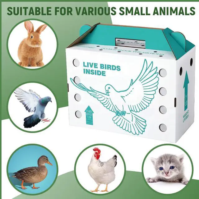 Alt view image 6 of 6 - 15 Pack Single Live Chicken Shipping Boxes 17.5 x 8.5 x 11.5" Live Bird Shipping Boxes Cardboard Pet Carrier with Handle for Poultry, Pigeons, & Canaries (Green)